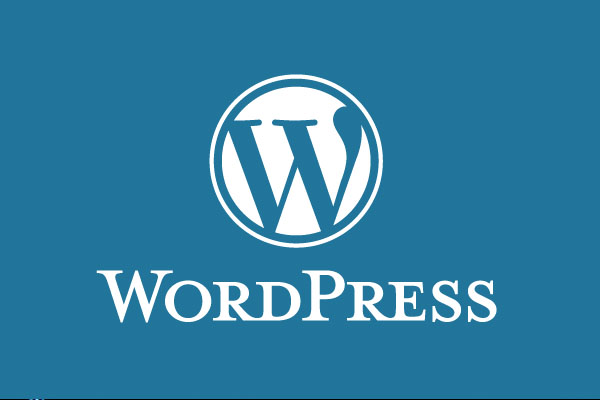 WordPress: A Melhor Plataforma Para Ganhar Dinheiro com Blogs!